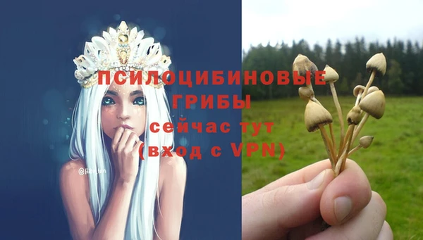 шишки Абдулино