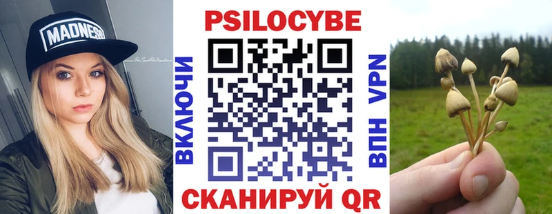 Псилоцибиновые грибы GOLDEN TEACHER цена darknet какой сайт Пудож